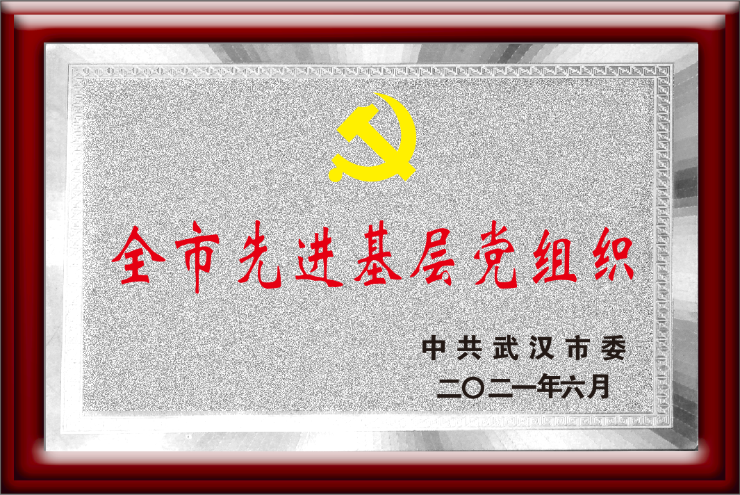 武汉市委 全市先进基层党组织