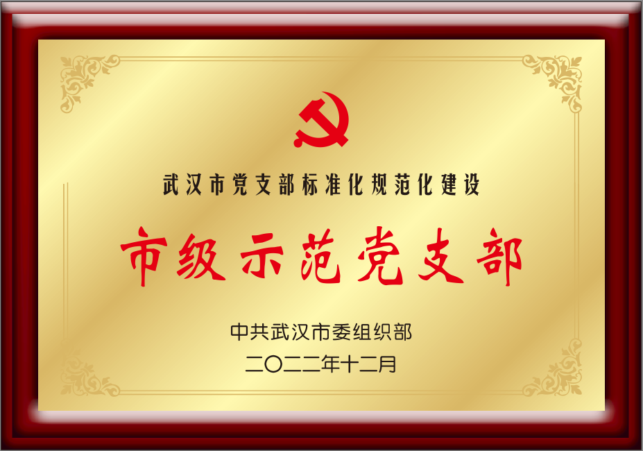 武汉市委组织部 武汉市级示范党支部