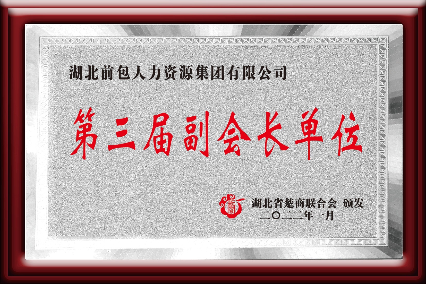 楚商联合会副会长单位