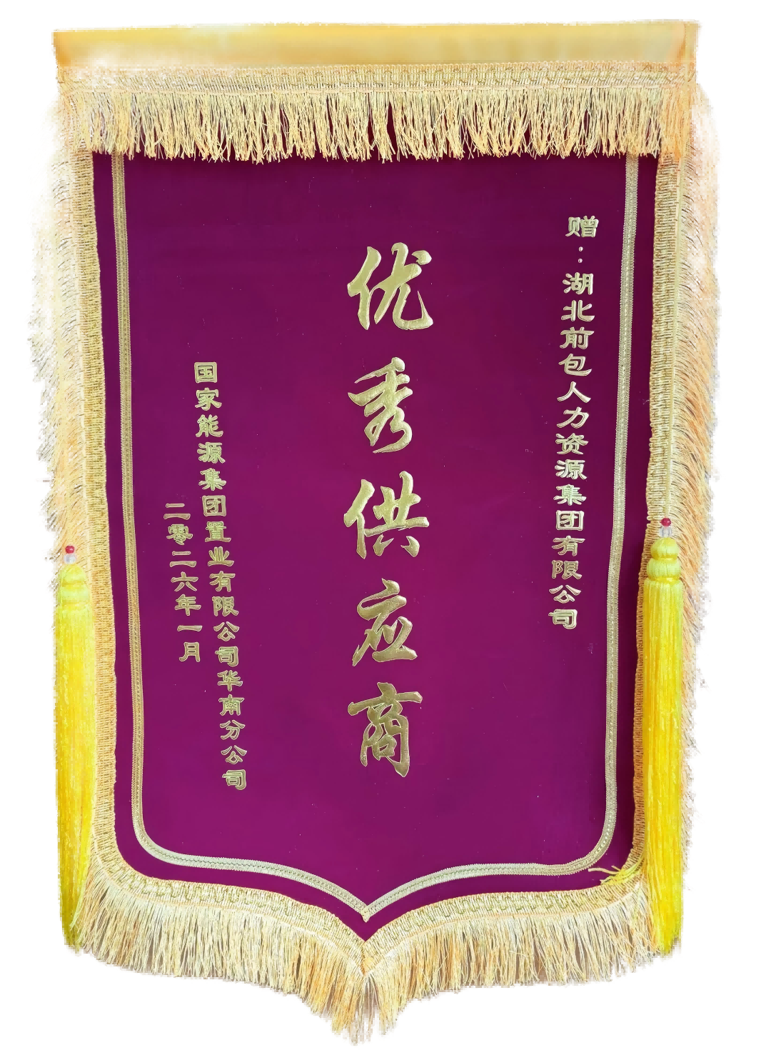 2025 国能置业华南分公司 年度优秀供应商