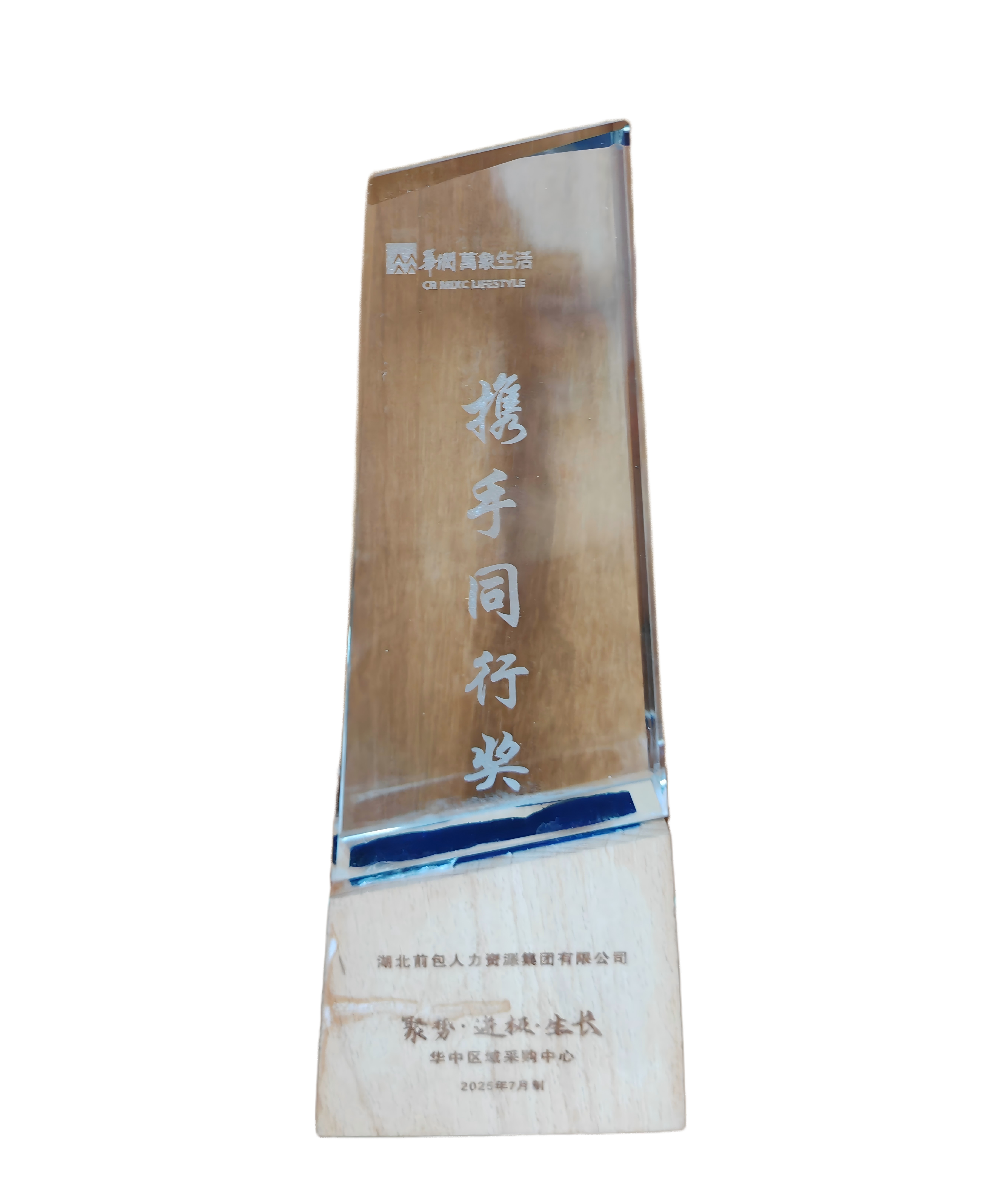 2025 华润万象 携手同行奖